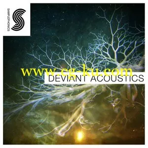 Samplephonics Deviant Acoustics MULTiFORMAT的图片1