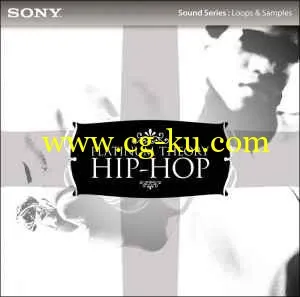 Sony Creative Software Platinum Theory Hip Hop ACID WAV的图片1
