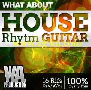 WA Production What About House Rhytm Guitar WAV-DISCOVER的图片1
