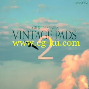 ShamanStems Origin Series Vintage Pads 2 WAV的图片1
