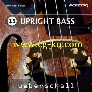 Ueberschall Upright Bass ELASTiK的图片1