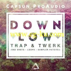 CAPSUN ProAudio Down Low Trap and Twerk MULTiFORMAT的图片1