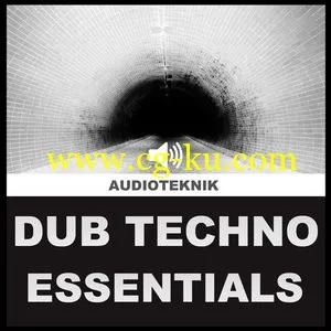 Audioteknik Dub Techno Essentials WAV的图片1