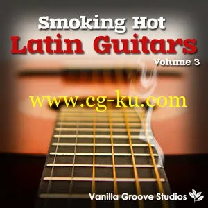 Vanilla Groove Studios Smoking Hot Latin Guitars Vol.3 [WAVAiFF]的图片1