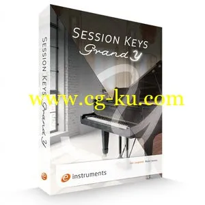 E-Instruments Session Keys Grand Y v.1.1 KONTAKT的图片1