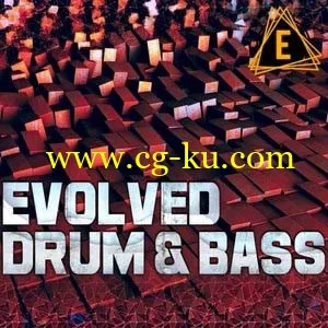Electronisounds Evolved Drum And Bass WAV KONTAKT |的图片1