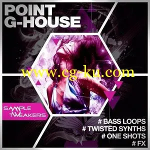 音效下载Sample Tweakers Point G House WAV MiDi MASSiVE SYLENTH1的图片1