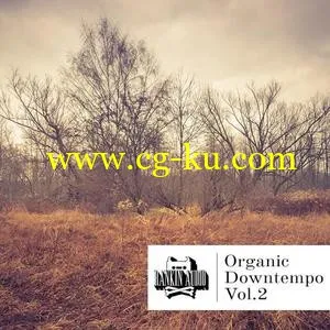 Rankin Audio Organic Downtempo Vol 2 WAV的图片1