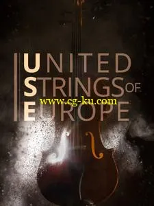 音效下载Auddict United Strings of Europe First Violins KONTAKT的图片1
