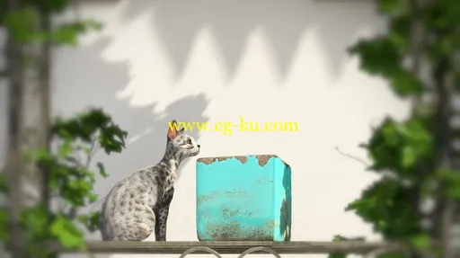 傻傻的猫猫的图片1