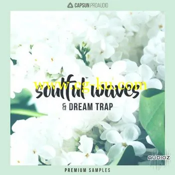 音效下载CAPSUN ProAudio Soulful Waves and Dream Trap WAV的图片1