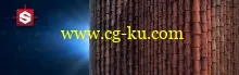 3DMotive – Roof Shader in Substance Volume 1的图片1