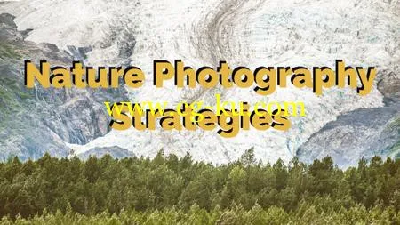 Nature Photography Strategies的图片1