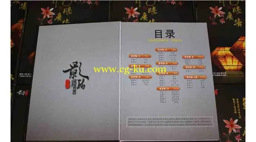龙腾广告（10DVD）的图片1