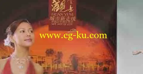 20张DVD中国风的PSD素材的图片2