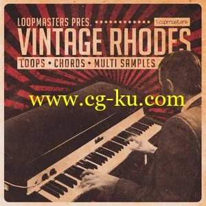 Loopmasters Vintage Rhodes MULTiFORMAT的图片1