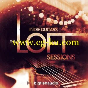 Big Fish Audio Indie Guitars The Loft Sessions [KONTAKT  MULTIFORMAT]的图片1