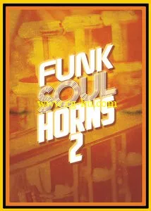 Big Fish Audio Funk Soul Horns 2 MULTiFORMAT的图片1