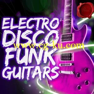 Fox Samples Electro Disco Funk Guitars WAV的图片1