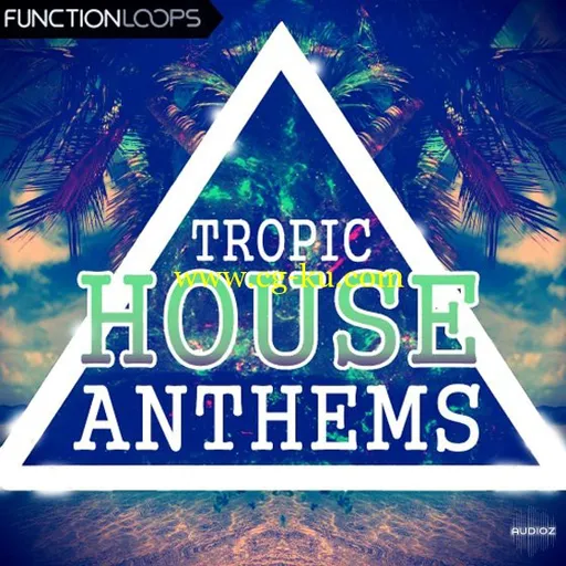 Function Loops Tropic House Anthems WAV MiDi-AUDIOSTRiKE的图片1