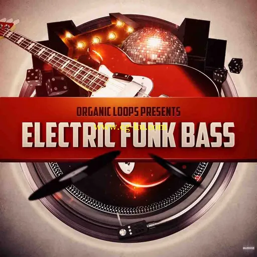 Organic Loops Electric Funk Bass WAV REX-AUDIOSTRiKE的图片1