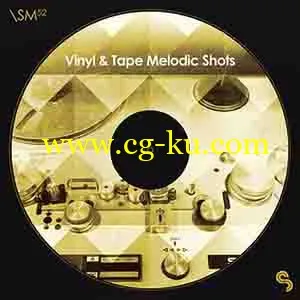 Sample Magic Vinyl and Tape Melodic Shots WAV的图片1
