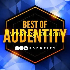 Audentity Best Of Audentity WAV MiDi Sylenth的图片1