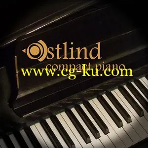 Precisionsound Ostlind Compact Piano MULTiFORMAT的图片1