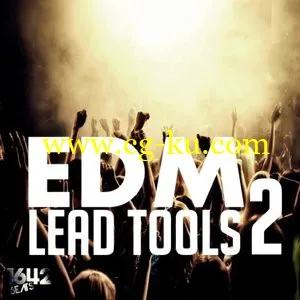 1642 Beats EDM Lead Tools Vol.2 WAV的图片1