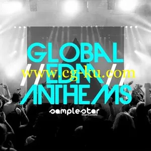 Samplestar Global EDM Anthems [WAVMiDiSylenth]的图片1