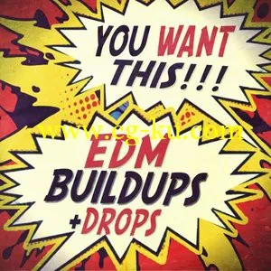 Sharp You Want This EDM Buildups and Drops [WAVMiDiSylenth1]的图片1