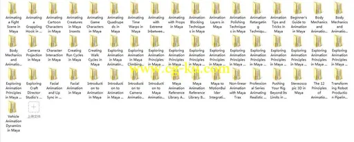 51部Maya动画教程合集的图片2