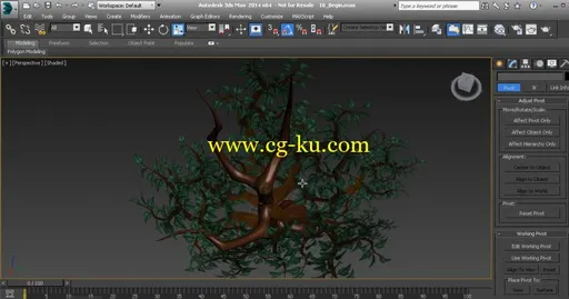 Creating Vegetation for Games in 3ds Max and Mudbox的图片2