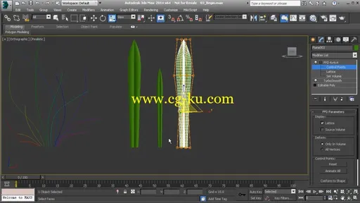 Creating Vegetation for Games in 3ds Max and Mudbox的图片4