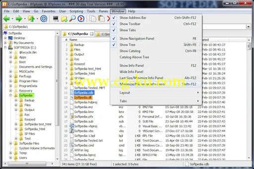 XYplorer v12.40.0200 资源管理器的图片1