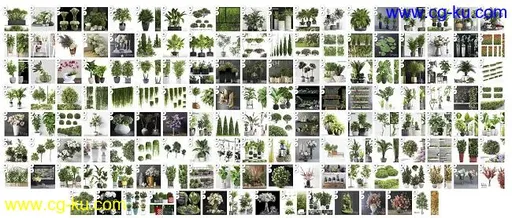 3DSky – Pro Models Plants Set的图片1
