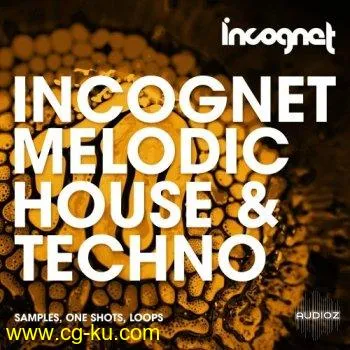 Incognet Melodic House & Techno WAV MiDi的图片1