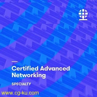 AWS Certified Advanced Networking – Specialty 2019的图片2