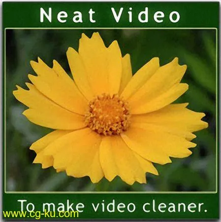 ABSoft Neat Video Pro 5.0.2 x64 for Adobe Premiere的图片1