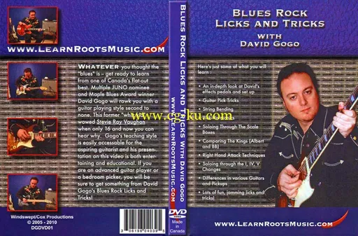 Learn Roots Music – Blues Rock Licks and Tricks – David Gogo – DVD (2008)的图片1