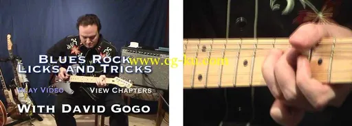 Learn Roots Music – Blues Rock Licks and Tricks – David Gogo – DVD (2008)的图片2