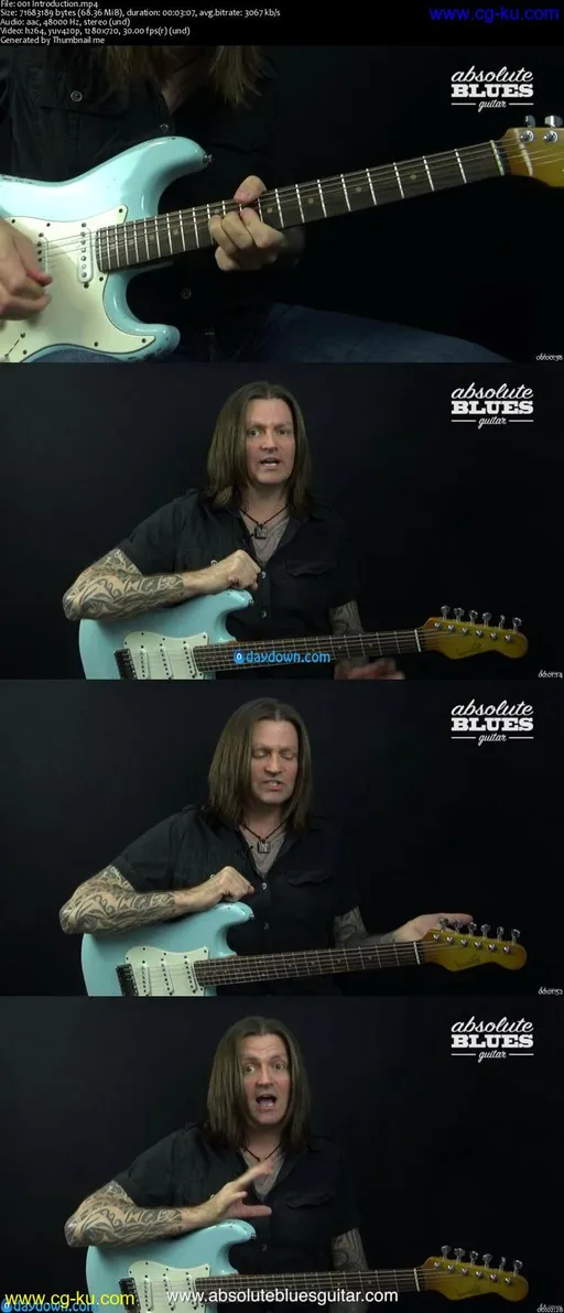 15 Essential Blues Guitar Licks的图片2