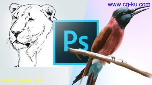 Learn to Draw and Paint in Photoshop的图片1