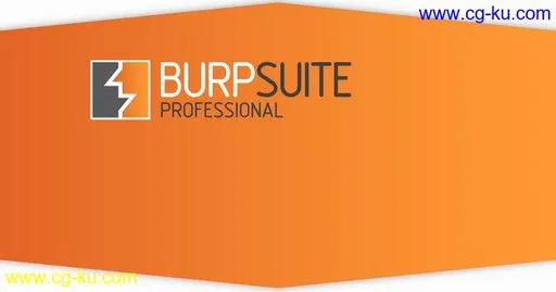 Burp Suite Professional 2.1.07的图片1