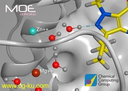 Molecular Operating Environment (MOE) 2019.0102的图片1