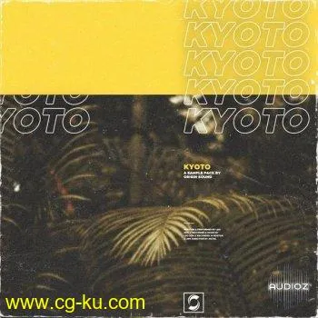 Origin Sound Kyoto WAV-DECiBEL的图片1