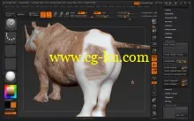 3DBuzz – ZBrush 101: The Fundamentals的图片5