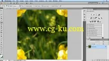 Video2brain – Mastering Adobe Photoshop Filters: Learn by Video – Add Stylish and Creative Effects [2011, ENG]的图片4