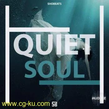 Shobeats Quiet Soul WAV MiDi SYLENTH1 KONTAKT NEXUS OMNiSPHERE PRESETS HAPPY NEW YEAR的图片1