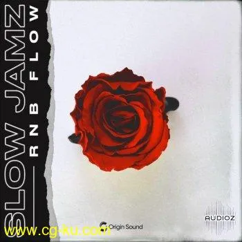 Origin Sound Slow Jamz RnB Flow WAV-DECiBEL的图片1